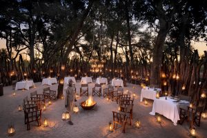 botswana moremi game reserve andbeyond nxabega19