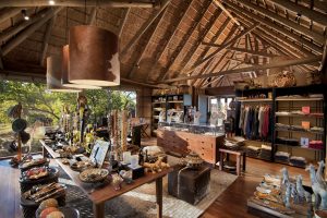 botswana moremi game reserve andbeyond nxabega27