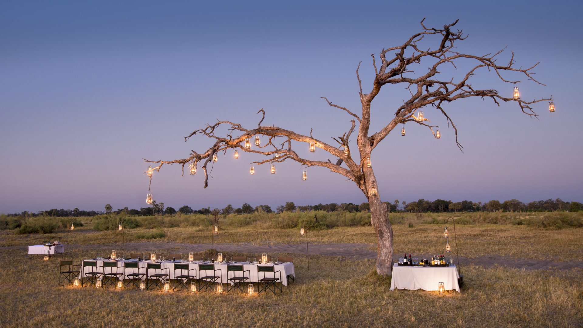 botswana moremi game reserve andbeyond nxabega33