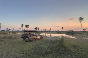 botswana moremi game reserve andbeyond nxabega34