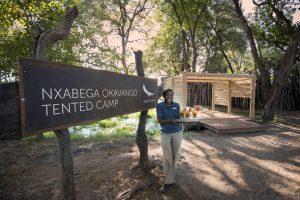 botswana moremi game reserve andbeyond nxabega40
