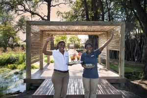botswana moremi game reserve andbeyond nxabega41