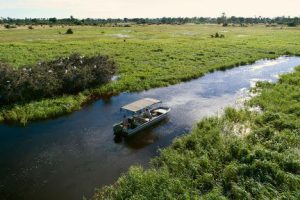 botswana moremi game reserve kiri camp37