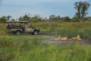 botswana moremi game reserve kiri camp38