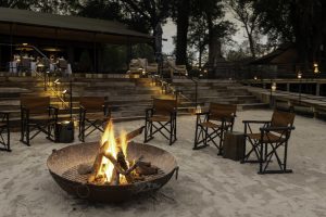 botswana moremi game reserve kiri camp41