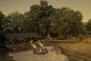 botswana moremi game reserve kiri camp45
