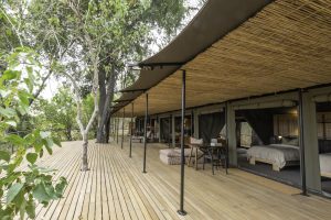 botswana moremi game reserve kiri camp49