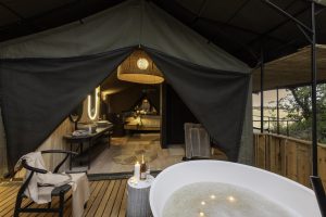 botswana moremi game reserve kiri camp56