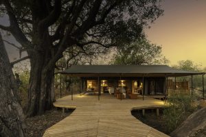 botswana moremi game reserve kiri camp61