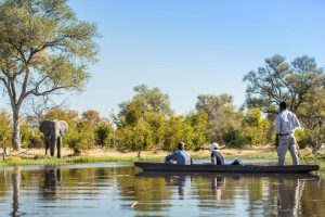 botswana moremi game reserve kiri camp62