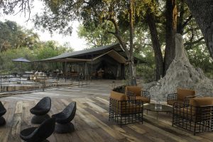 botswana moremi game reserve kiri camp64