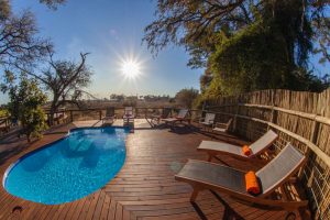 botswana moremi game reserve mma dinare camp15
