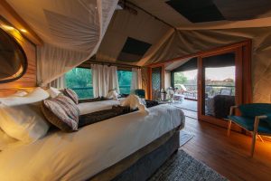 botswana moremi game reserve mma dinare camp4