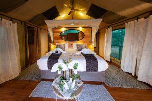 botswana moremi game reserve mma dinare camp5