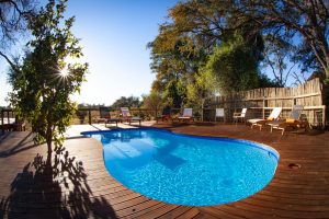 botswana moremi game reserve mma dinare camp7