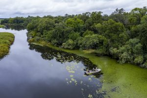 botswana okavangodelta houseboat4