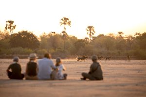 zambia south luanwga national park puku ridge14