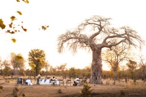 zambia south luanwga national park puku ridge15