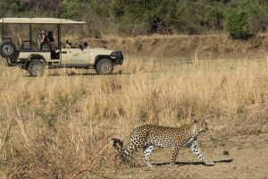 zambia south luanwga national park puku ridge17