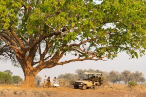 zambia south luanwga national park puku ridge18