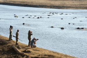 zambia south luanwga national park puku ridge2