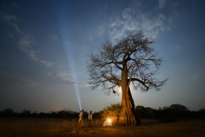 zambia south luanwga national park puku ridge22