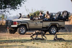 Puku Ridge South Luangwa Zambia