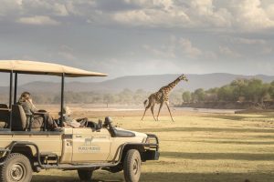 zambia south luanwga national park puku ridge47