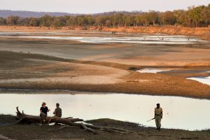 zambia south luanwga national park puku ridge5