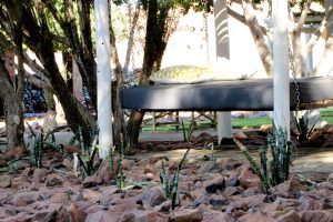 Elegant Desert Lodge Namibia Luxury12