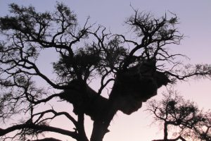 Elegant Desert Lodge Namibia Luxury16