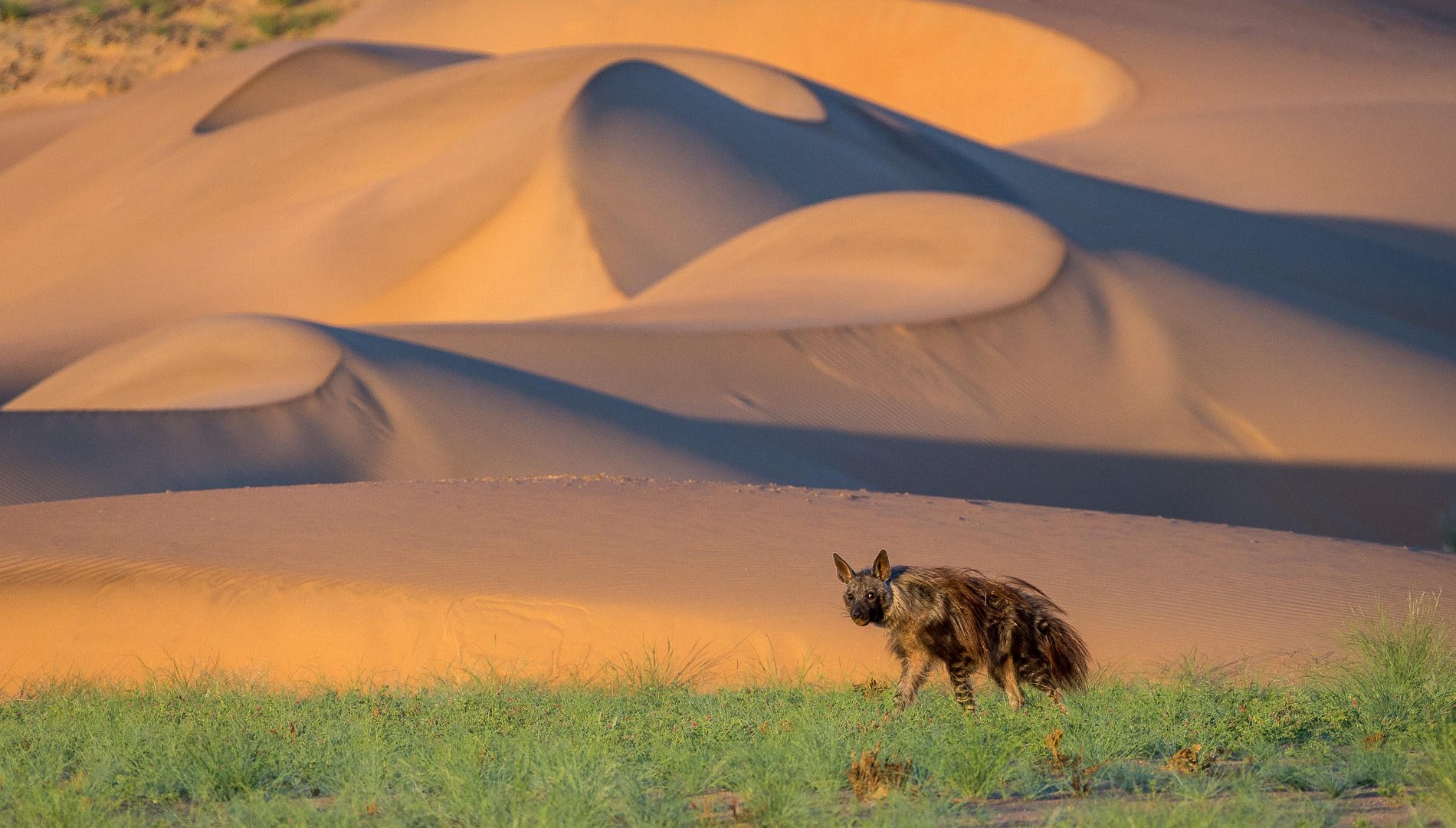 Serra Cafema Namibia41
