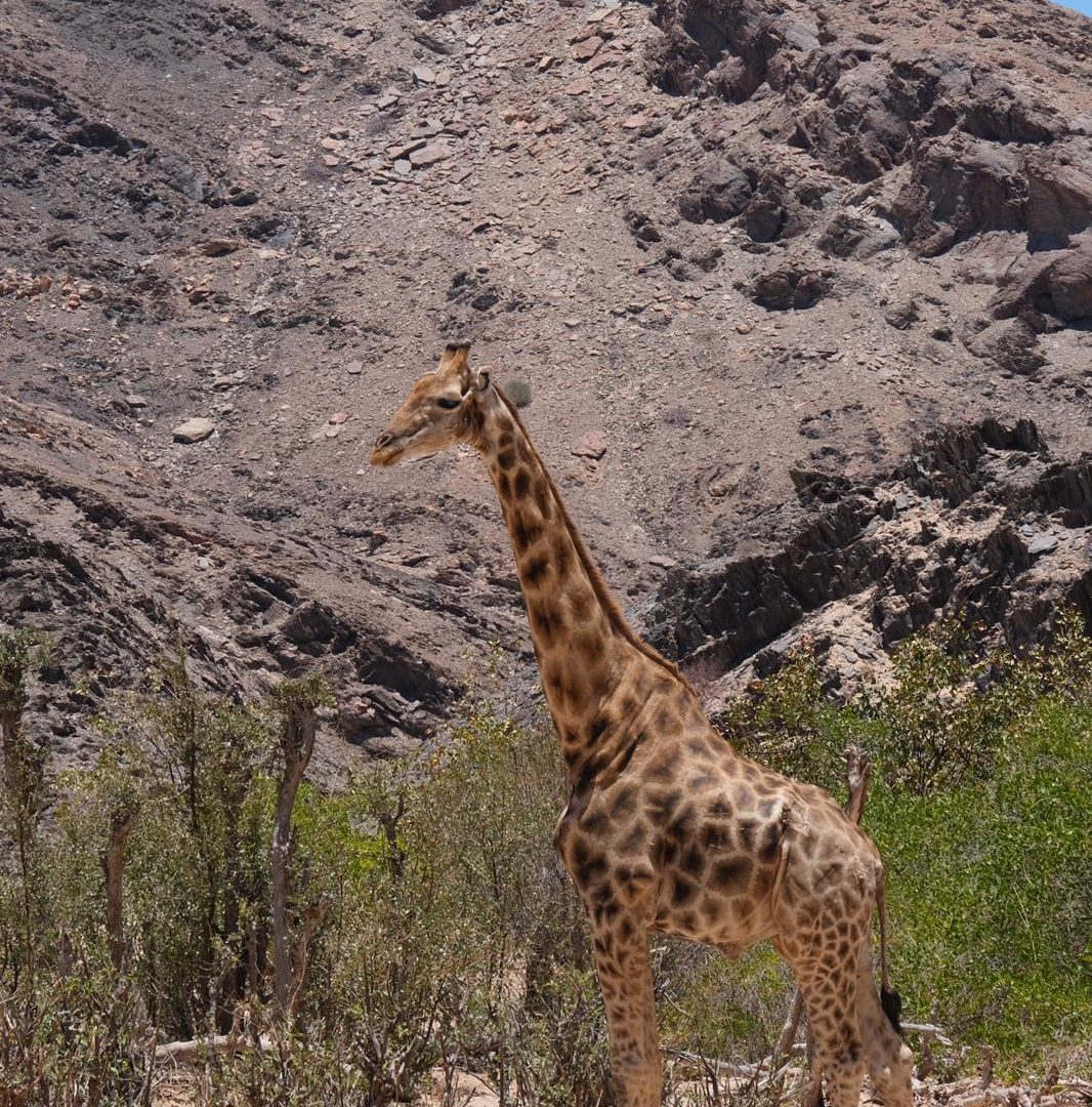 Sesfontein Guest House Namibia16