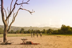 changa safari camp kariba zimbabwe luxury28