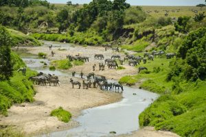 kenya maasai mara emboo river camp17