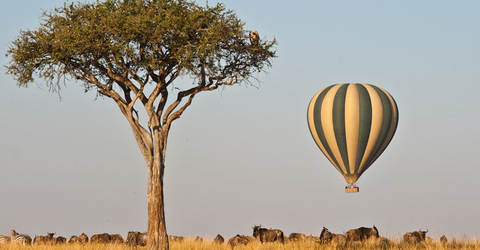 kenya maasai mara entim mara camp21