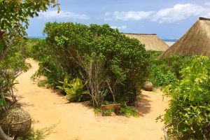mozambique vilanculos asdunas lodge7