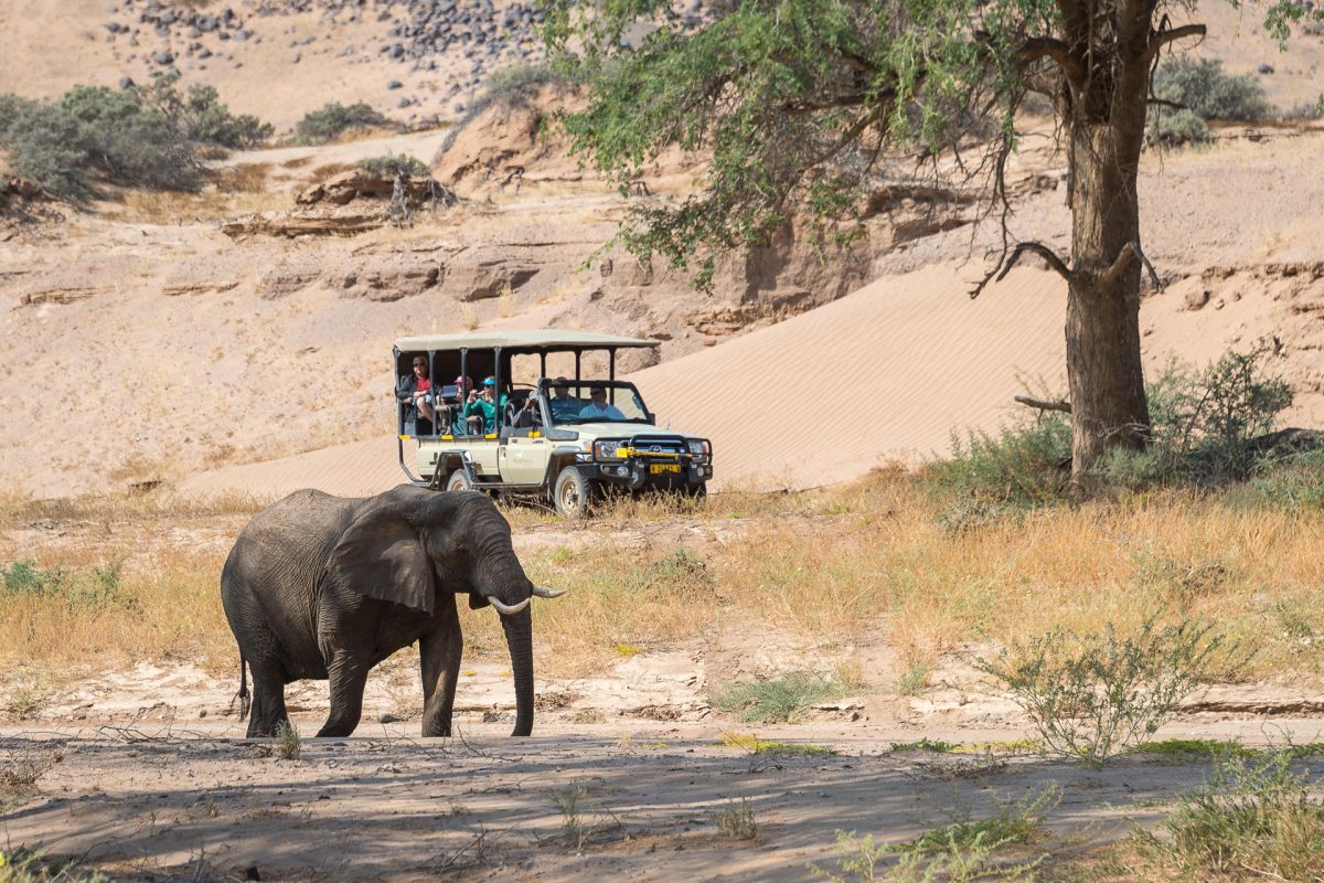 Damaraland Camp SAFARI FRANK