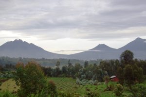 rwanda volcanoes national park five volcanoes boutique hotel13
