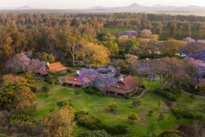 tanzania arusha legendary lodge4