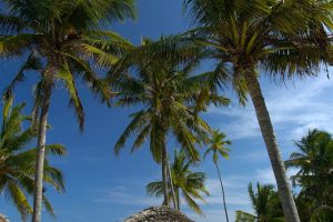 tanzania zanzibar breezes beach club and spa15