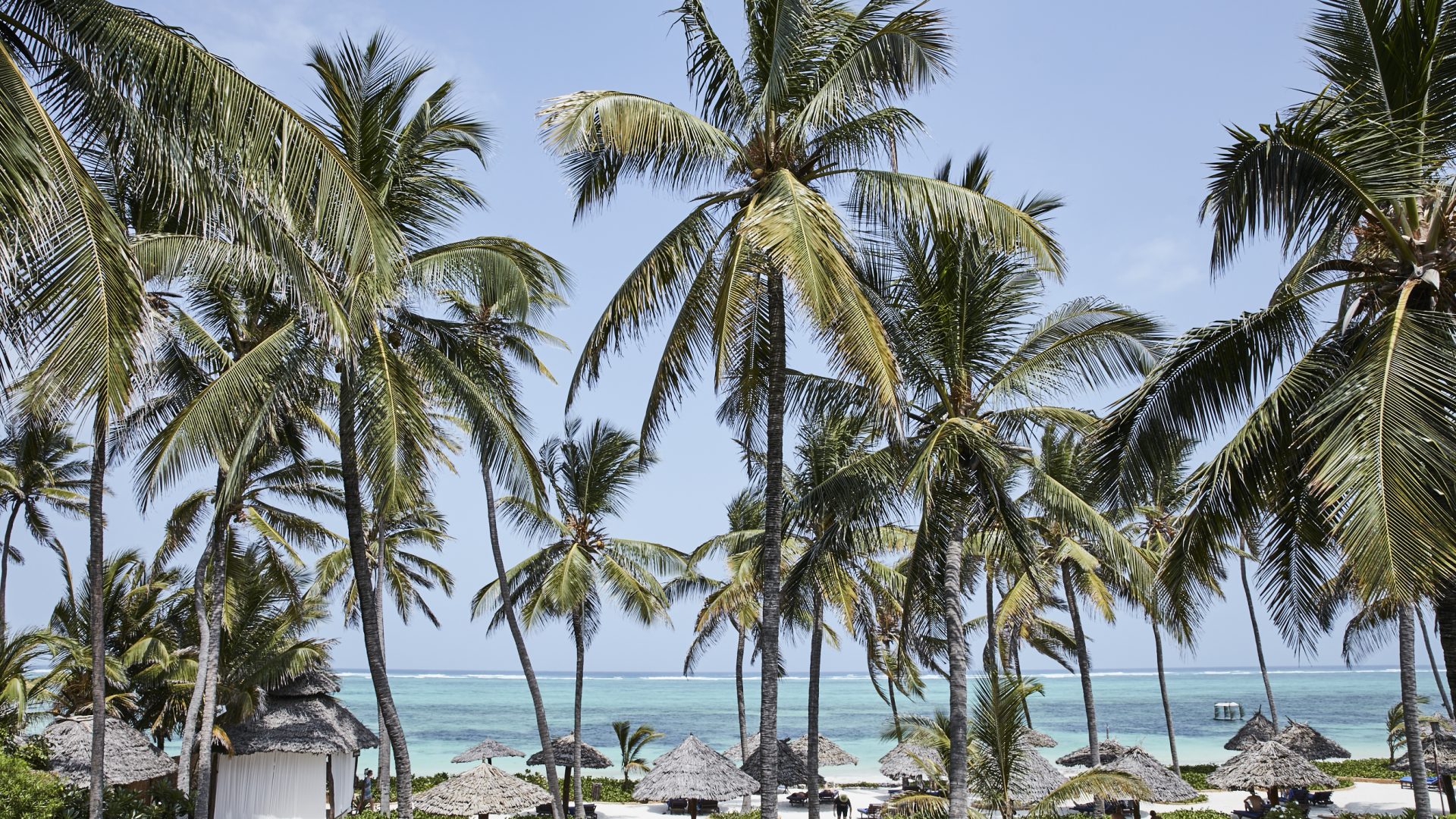tanzania zanzibar breezes beach club and spa23