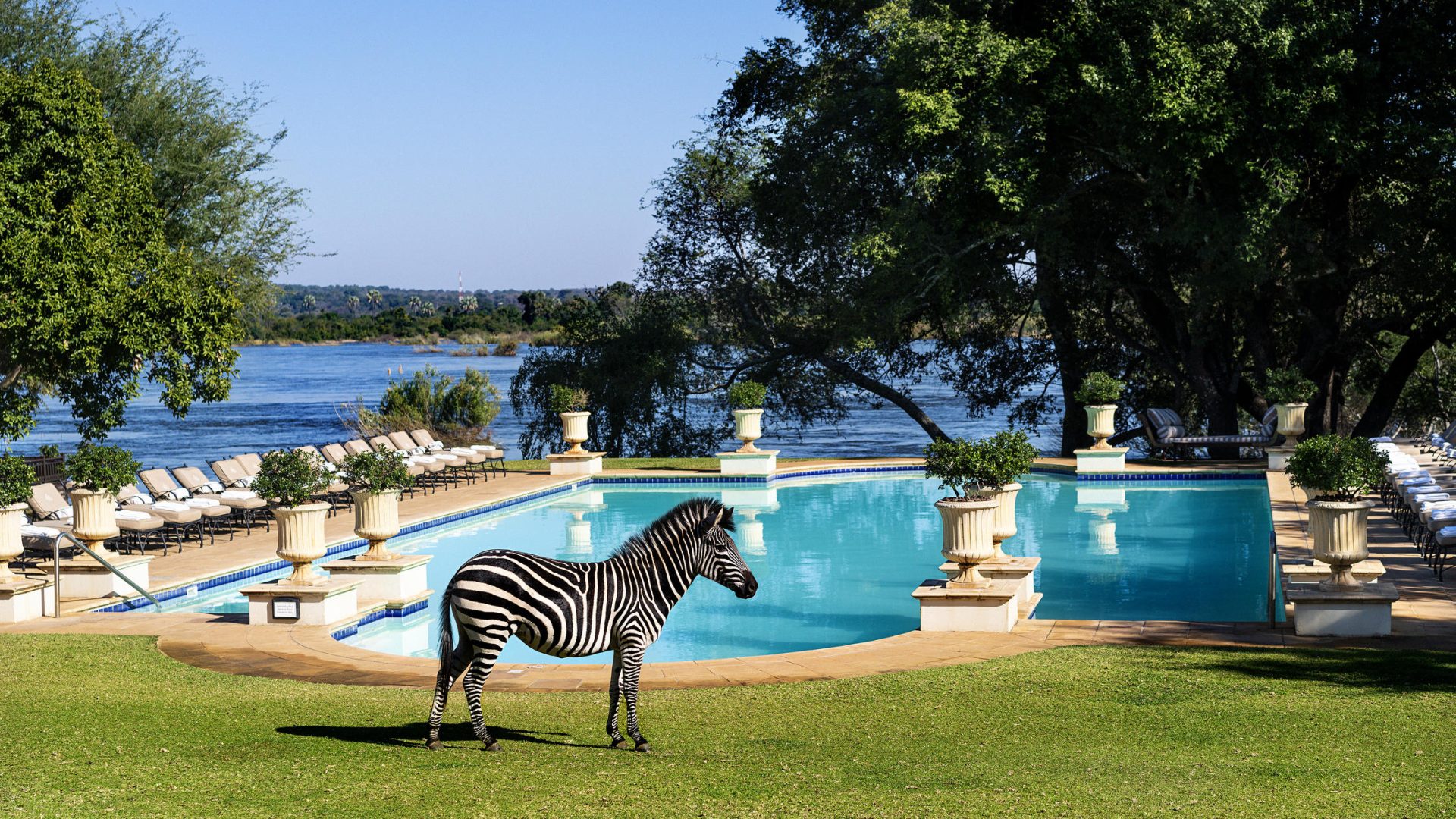 zambia livingstone royal livingstone hotel8