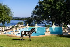 zambia livingstone royal livingstone hotel8