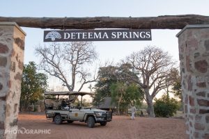 zimbabwe hwange deteema springs camp12