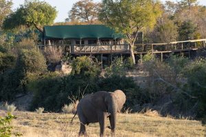 zimbabwe hwange deteema springs camp13