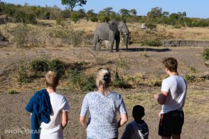 zimbabwe hwange deteema springs camp2