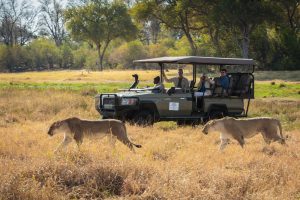 zimbabwe hwange deteema springs camp21