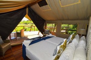zimbabwe hwange deteema springs camp22