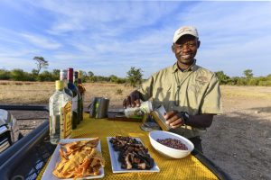 zimbabwe hwange deteema springs camp26